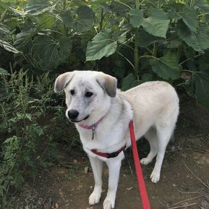 Meet your Posher, Clarissa